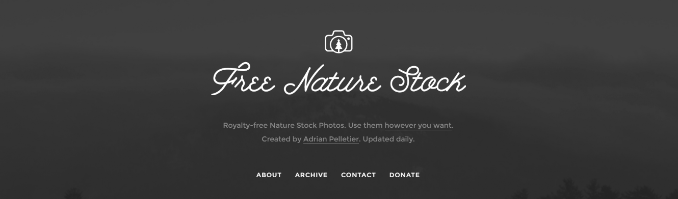 free nature stock pictures