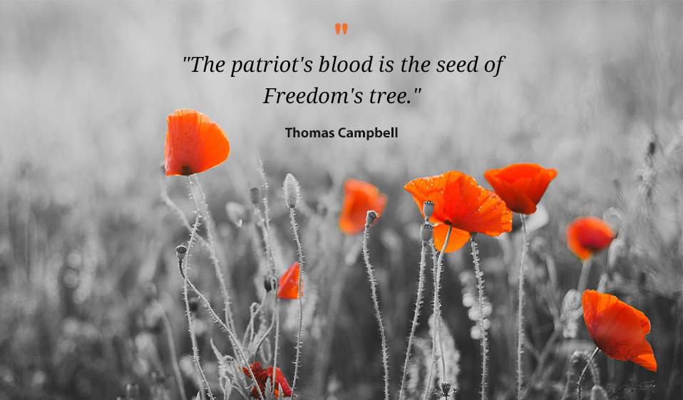 Remembrance Day 2019 Quotes: Thoughtful Words and Sayings to Honour World  War I Veterans on Poppy Day