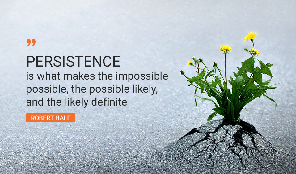 Persistence is what makes the impossible possible, the possible likely, and the likely definite