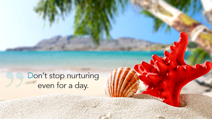 don't stop nurturing