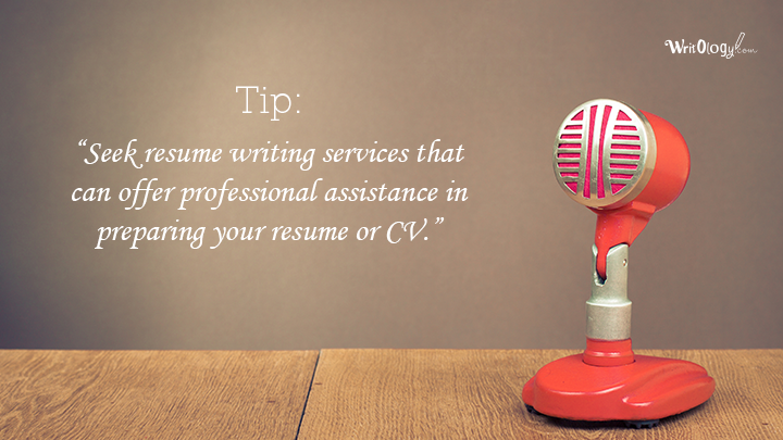 seek resume writing services